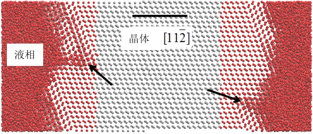 还是在宏观尺度,结晶或非晶生长的结构及其控制都难以通过实验研究